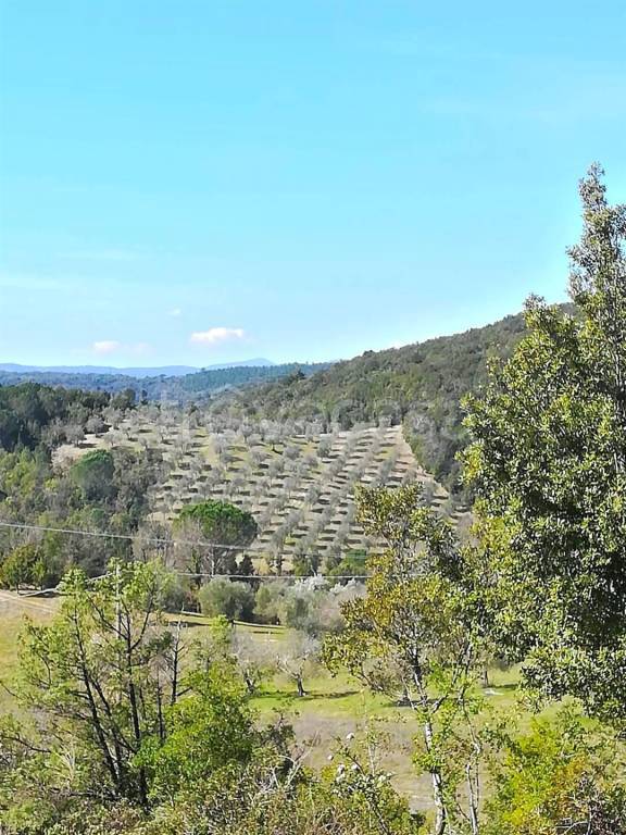 villa in vendita a Murlo