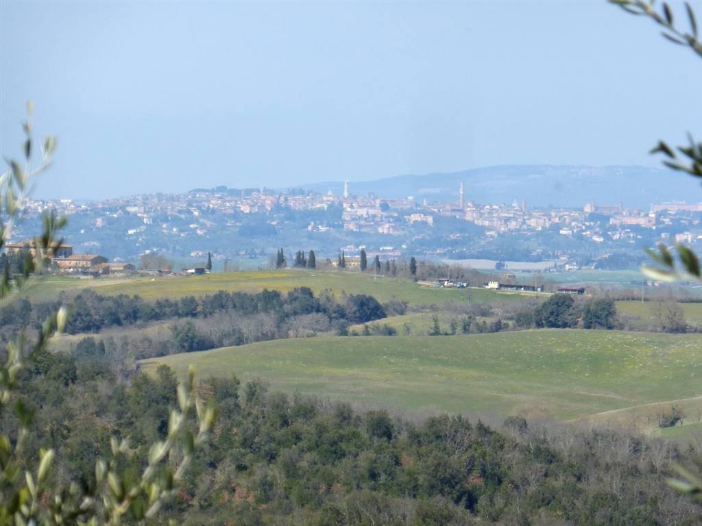 terreno agricolo in vendita a Murlo