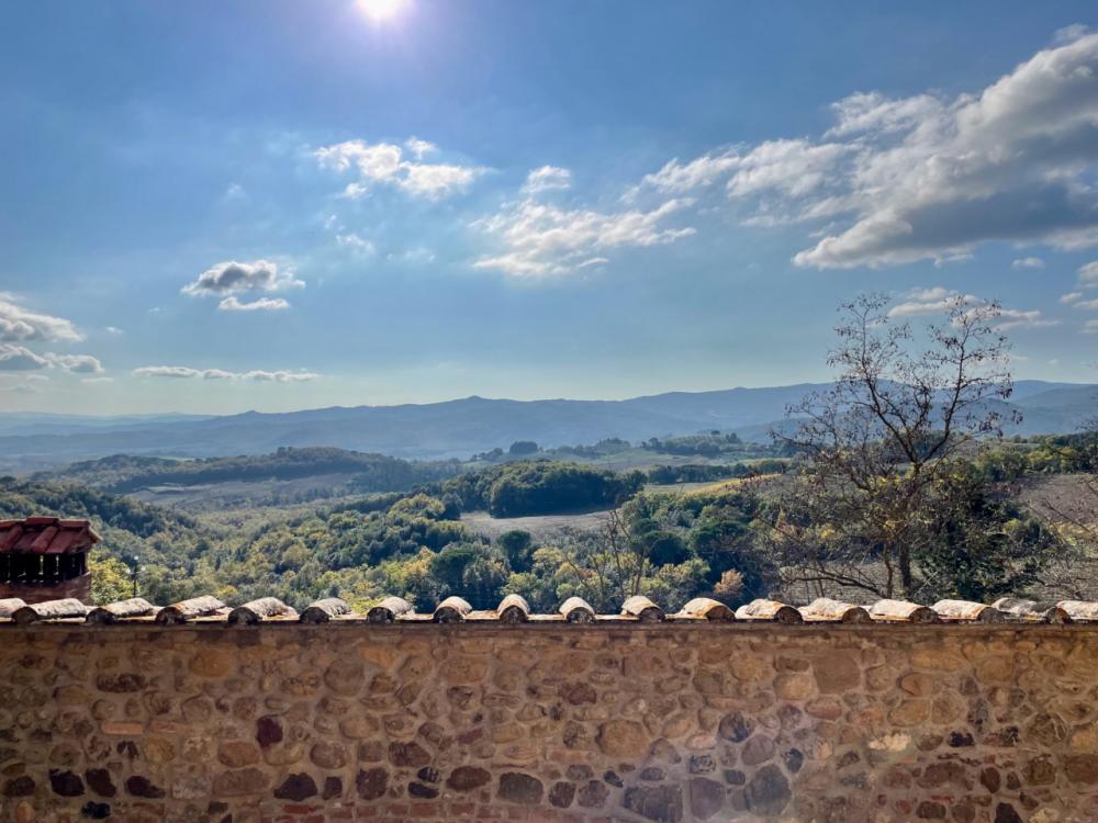 azienda agricola in vendita a Murlo