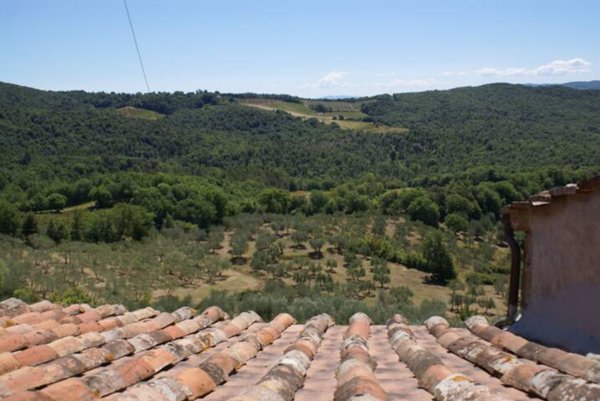 appartamento in vendita a Murlo in zona Vallerano