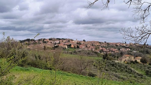 terreno edificabile in vendita a Murlo in zona Vescovado