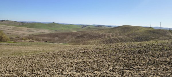 azienda agricola in vendita a Murlo in zona Vescovado