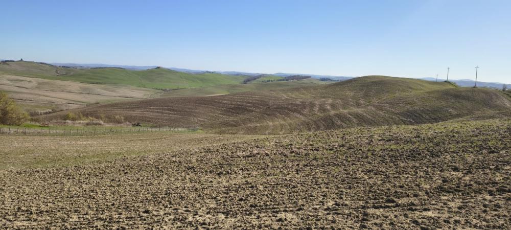 azienda agricola in vendita a Murlo