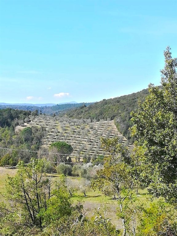 villa in vendita a Murlo