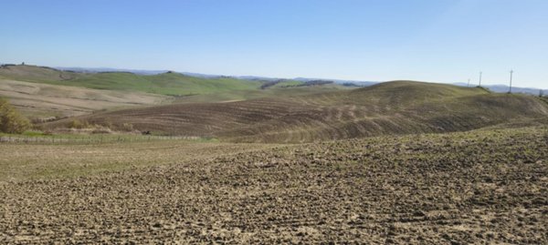 azienda agricola in vendita a Murlo
