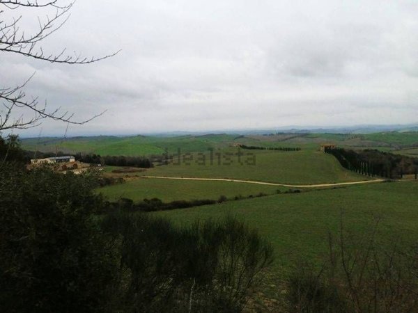 azienda agricola in vendita a Murlo