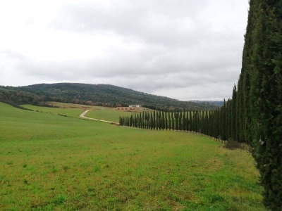 azienda agricola in vendita a Murlo