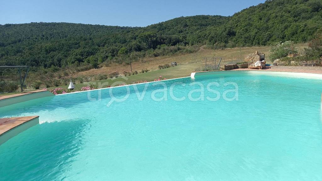 terreno agricolo in vendita a Murlo