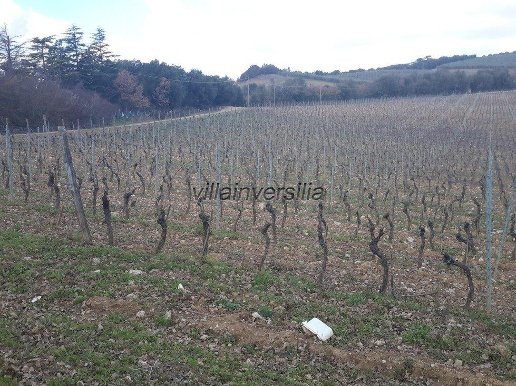 casa indipendente in vendita a Murlo