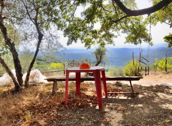 terreno agricolo in vendita a Murlo in zona Casciano
