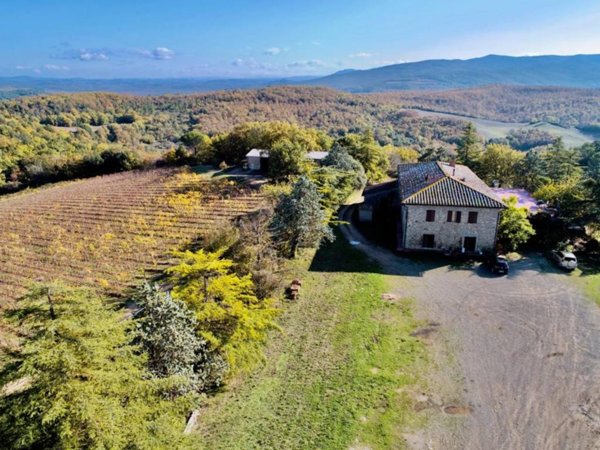 negozio in vendita a Murlo