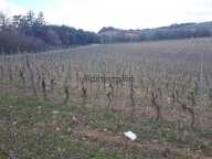 appartamento in vendita a Murlo