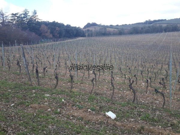 casale in vendita a Murlo