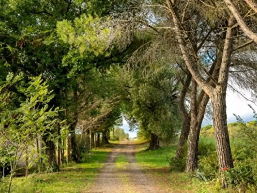 casa indipendente in vendita a Murlo in zona Montepescini