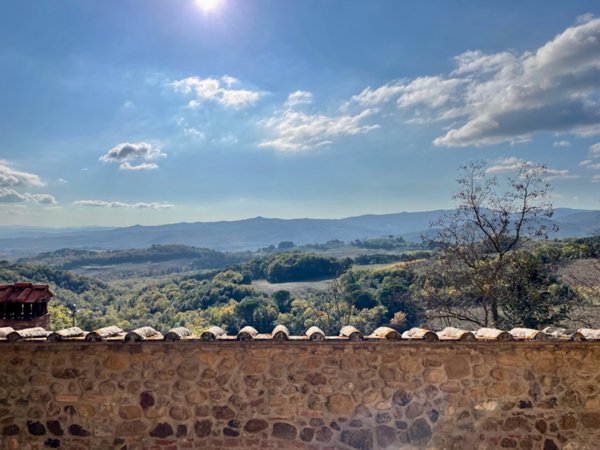 negozio in vendita a Murlo