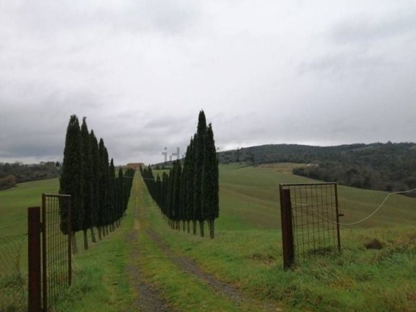 terreno agricolo in vendita a Murlo in zona Vescovado