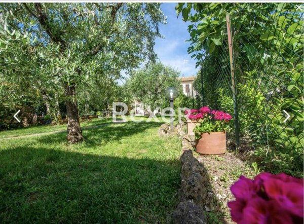 casa indipendente in vendita a Murlo in zona Vescovado