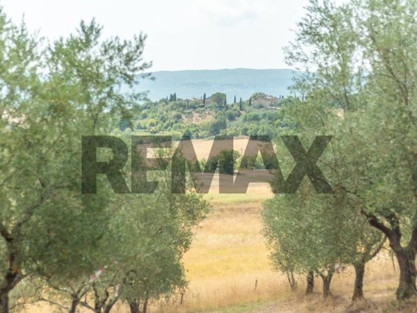 terreno agricolo in vendita a Murlo
