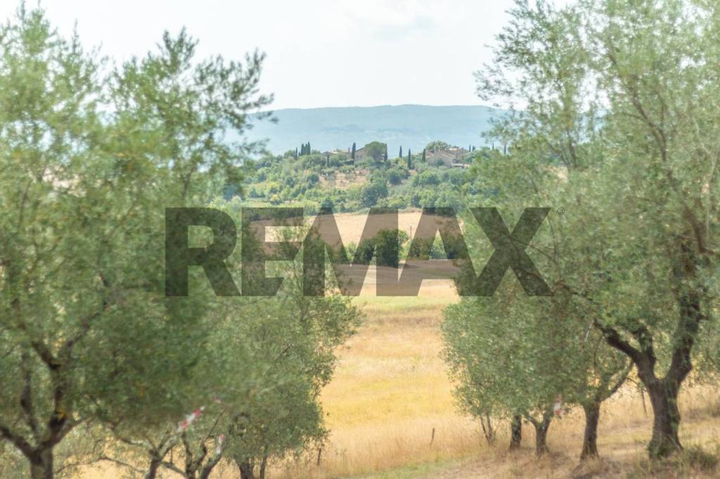 terreno agricolo in vendita a Murlo