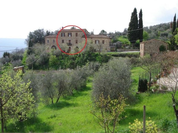 appartamento in vendita a Murlo in zona Fontazzi