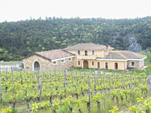 casa indipendente in vendita a Murlo in zona Casciano