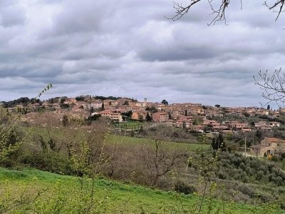 appartamento in vendita a Piancastagnaio