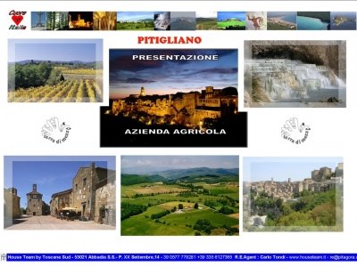 azienda agricola in vendita a Piancastagnaio