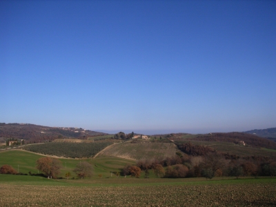 azienda agricola in vendita a Piancastagnaio
