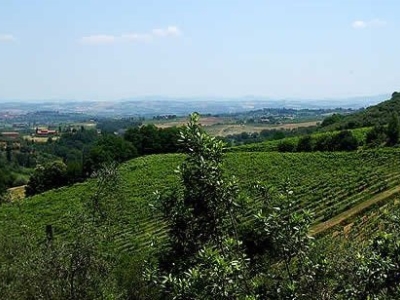 azienda agricola in vendita a Piancastagnaio