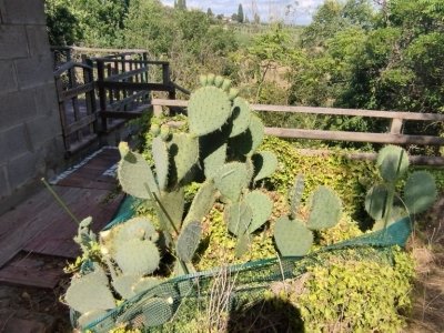 casa indipendente in vendita a Piancastagnaio