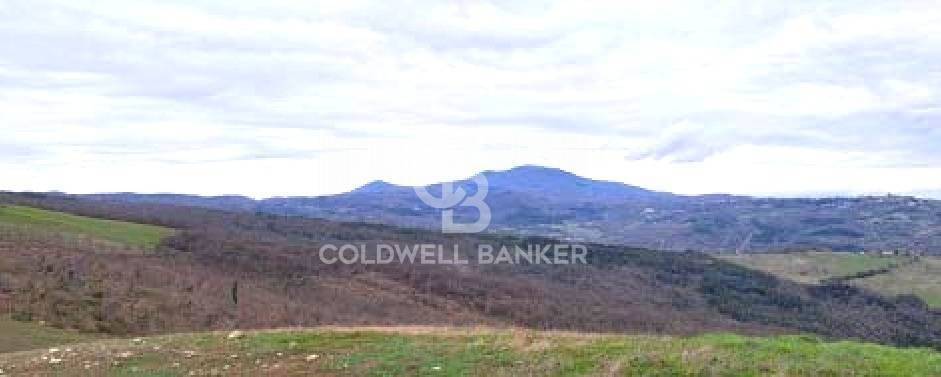 terreno agricolo in vendita a Piancastagnaio