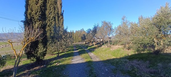 casa indipendente in vendita a Piancastagnaio