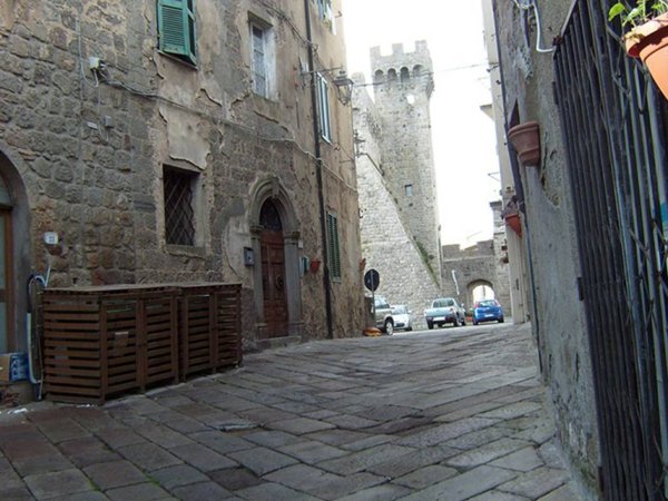 casa indipendente in vendita a Piancastagnaio