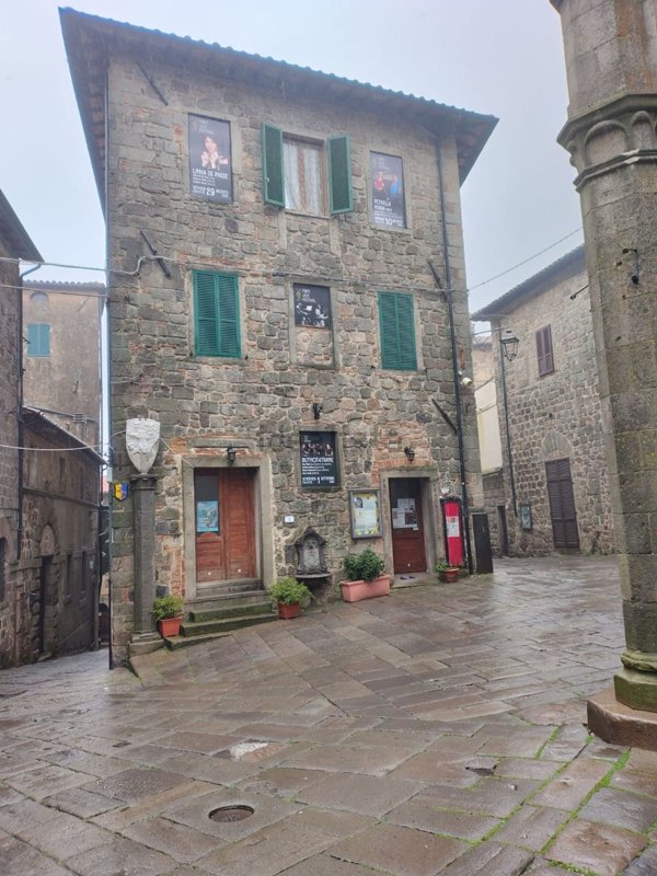 appartamento in vendita a Piancastagnaio