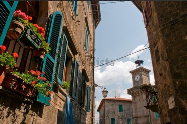 appartamento in vendita a Piancastagnaio