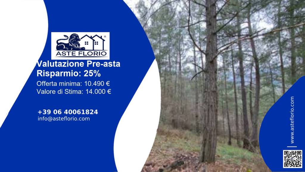 terreno agricolo in vendita a Piancastagnaio