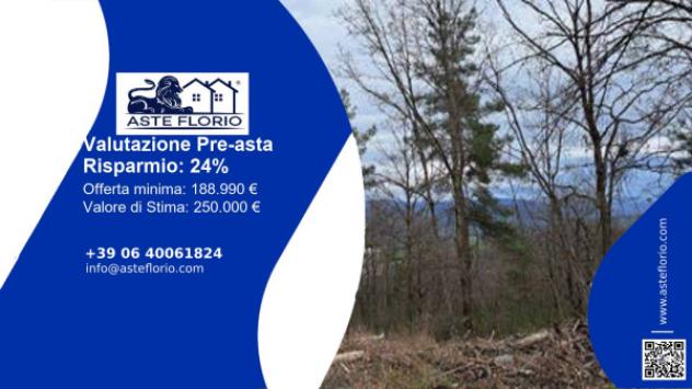 terreno agricolo in vendita a Piancastagnaio