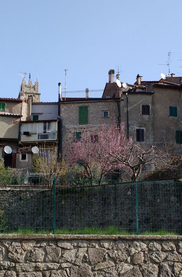 casa indipendente in vendita a Piancastagnaio