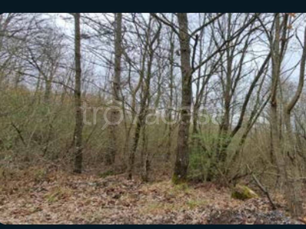 terreno agricolo in vendita a Piancastagnaio