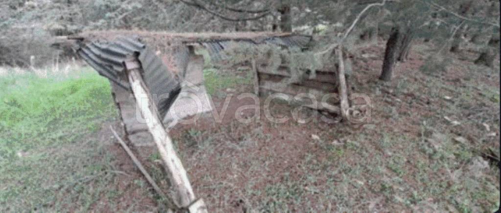 terreno agricolo in vendita a Piancastagnaio