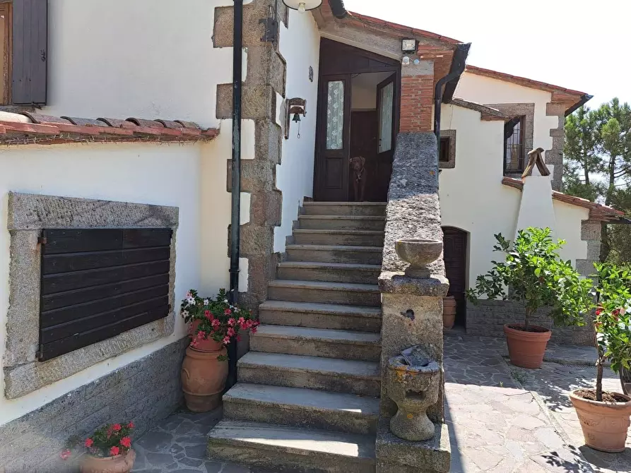 azienda agricola in vendita a Piancastagnaio