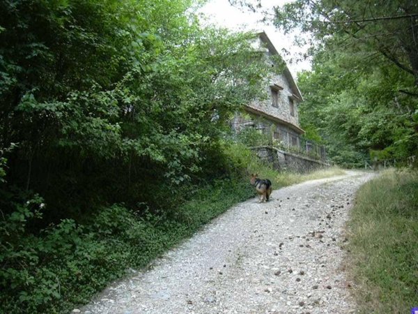 casa indipendente in vendita a Piancastagnaio