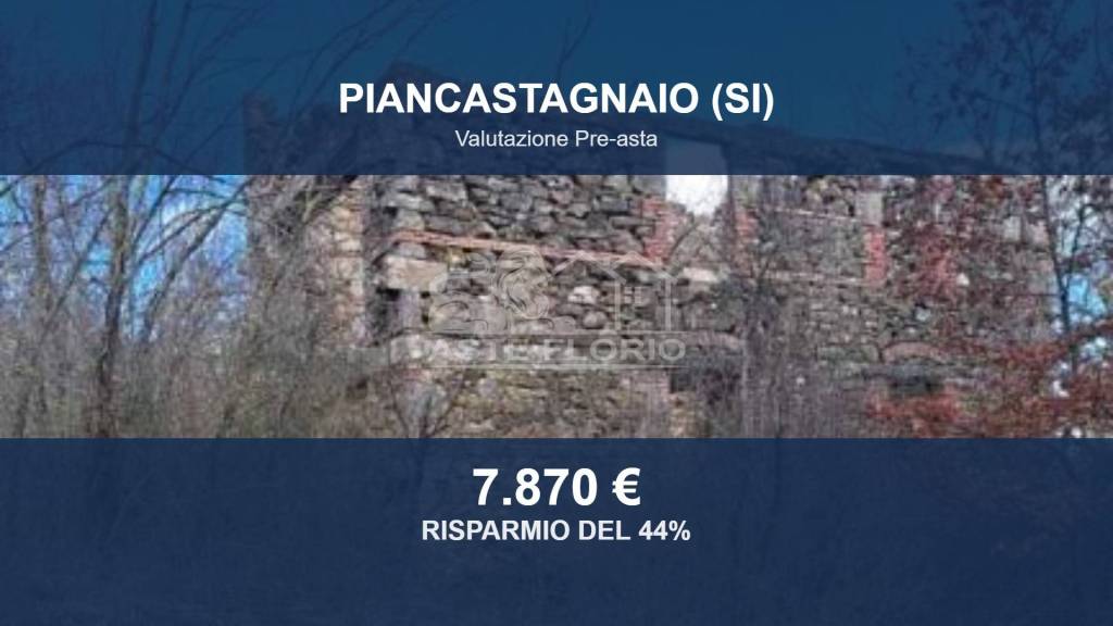 terreno agricolo in vendita a Piancastagnaio