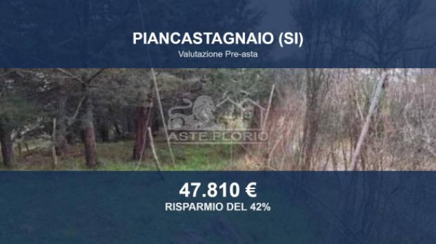 terreno agricolo in vendita a Piancastagnaio