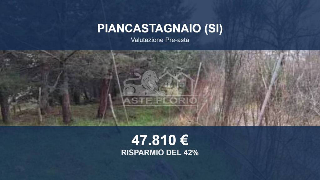 terreno agricolo in vendita a Piancastagnaio
