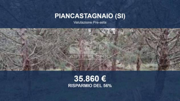terreno agricolo in vendita a Piancastagnaio