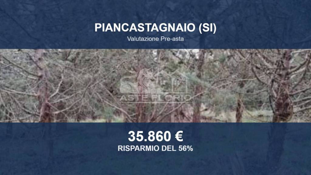 terreno agricolo in vendita a Piancastagnaio