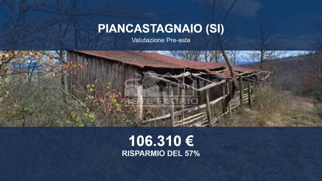 terreno agricolo in vendita a Piancastagnaio