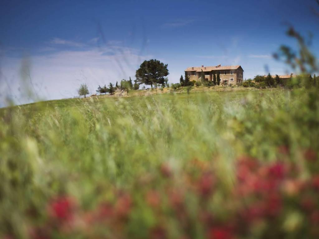 casa indipendente in vendita a Pienza