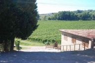 negozio in vendita a Pienza